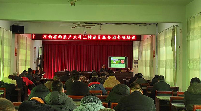 图片31_副本.jpg