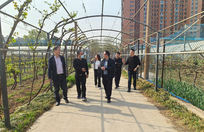 图片1_副本.jpg