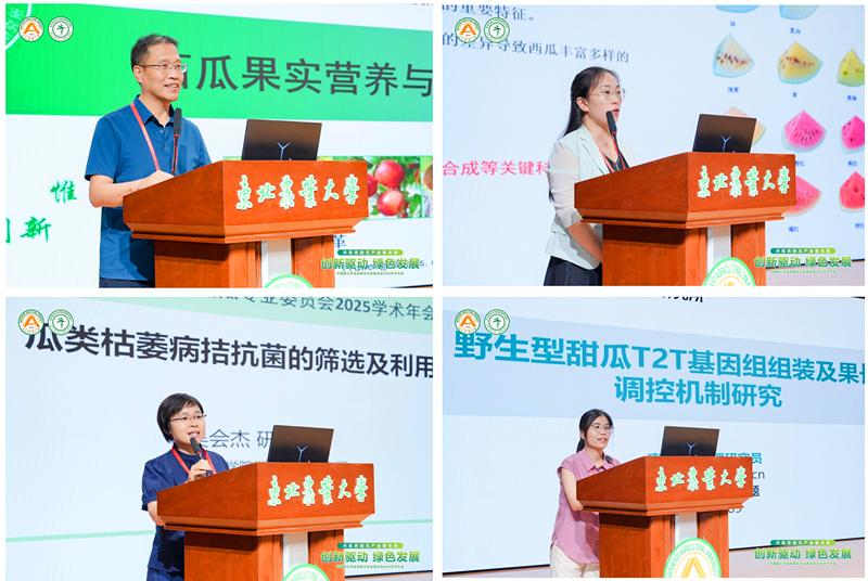 图片2_副本.png