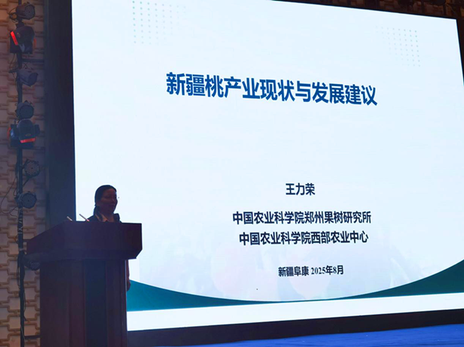 图片1_副本.png