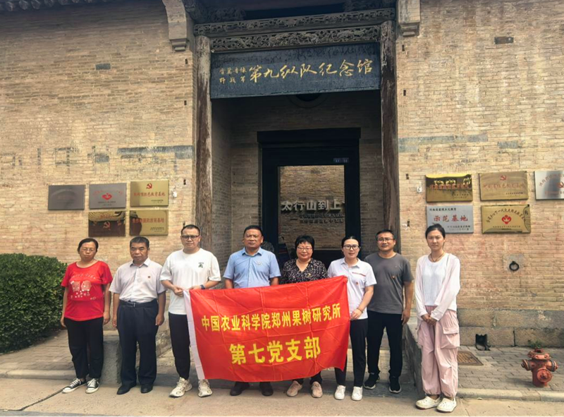 图片1_副本.png