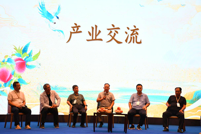 图片2_副本.png