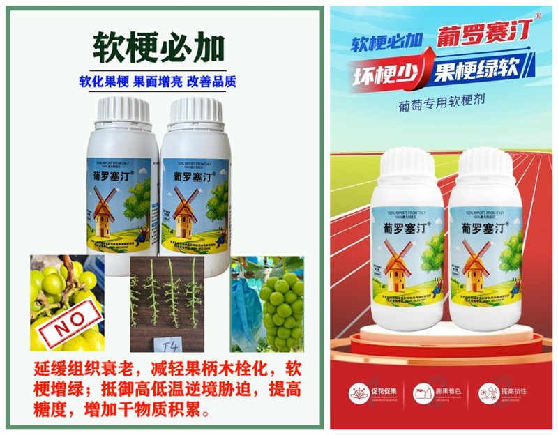 葡罗塞汀1_副本.jpg