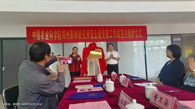 图片3_副本.jpg