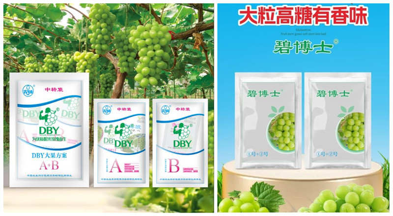 DBY_副本.jpg