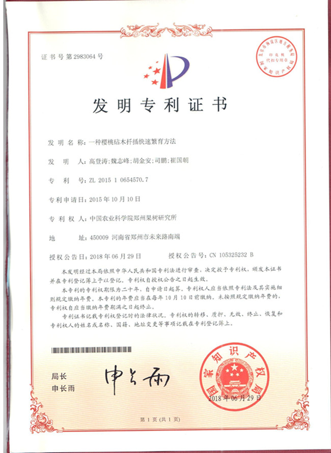 图片5_副本.jpg