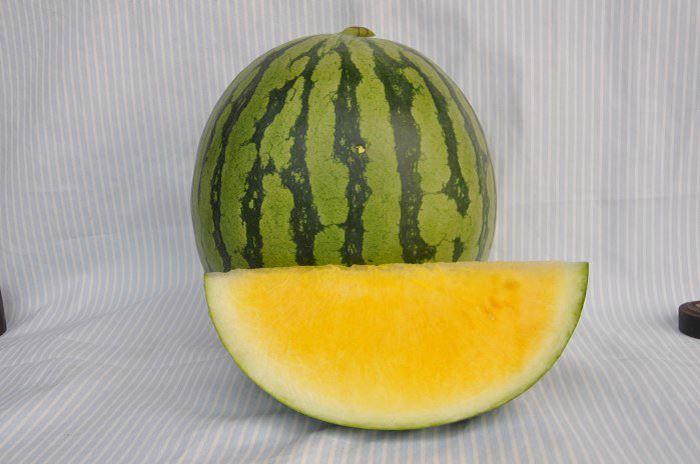 特点特性:三倍体无籽西瓜品种.